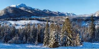 Winterdorp achterwanddoek xxl