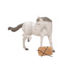 Feed For The Horses,Alleen Wit Paard!