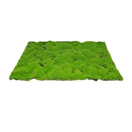 MyVillage Artificial Moss Mat Green-Brown.*
