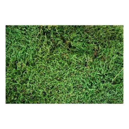 MyVillage Green Moss Fine XL.*